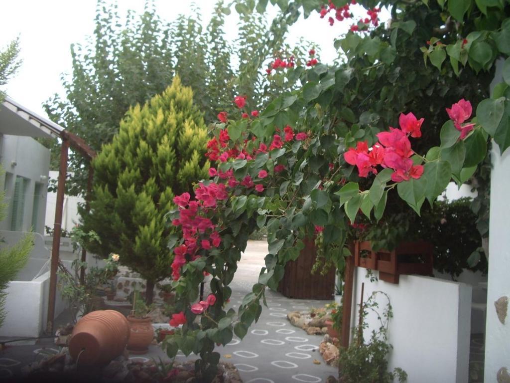 Skyros Panorama Studios Extérieur photo