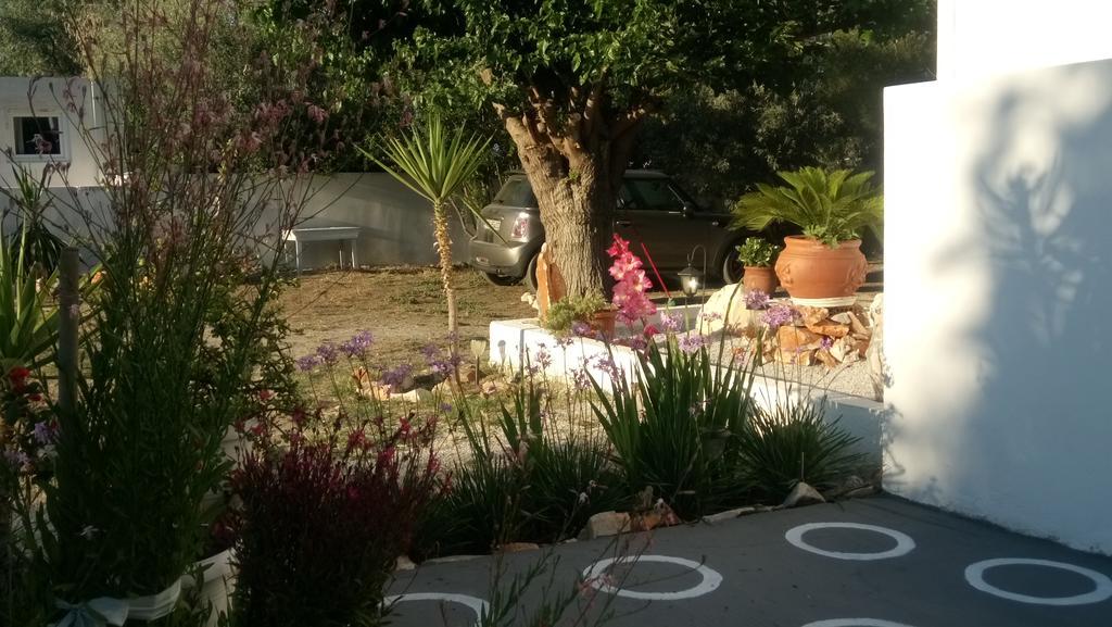 Skyros Panorama Studios Extérieur photo